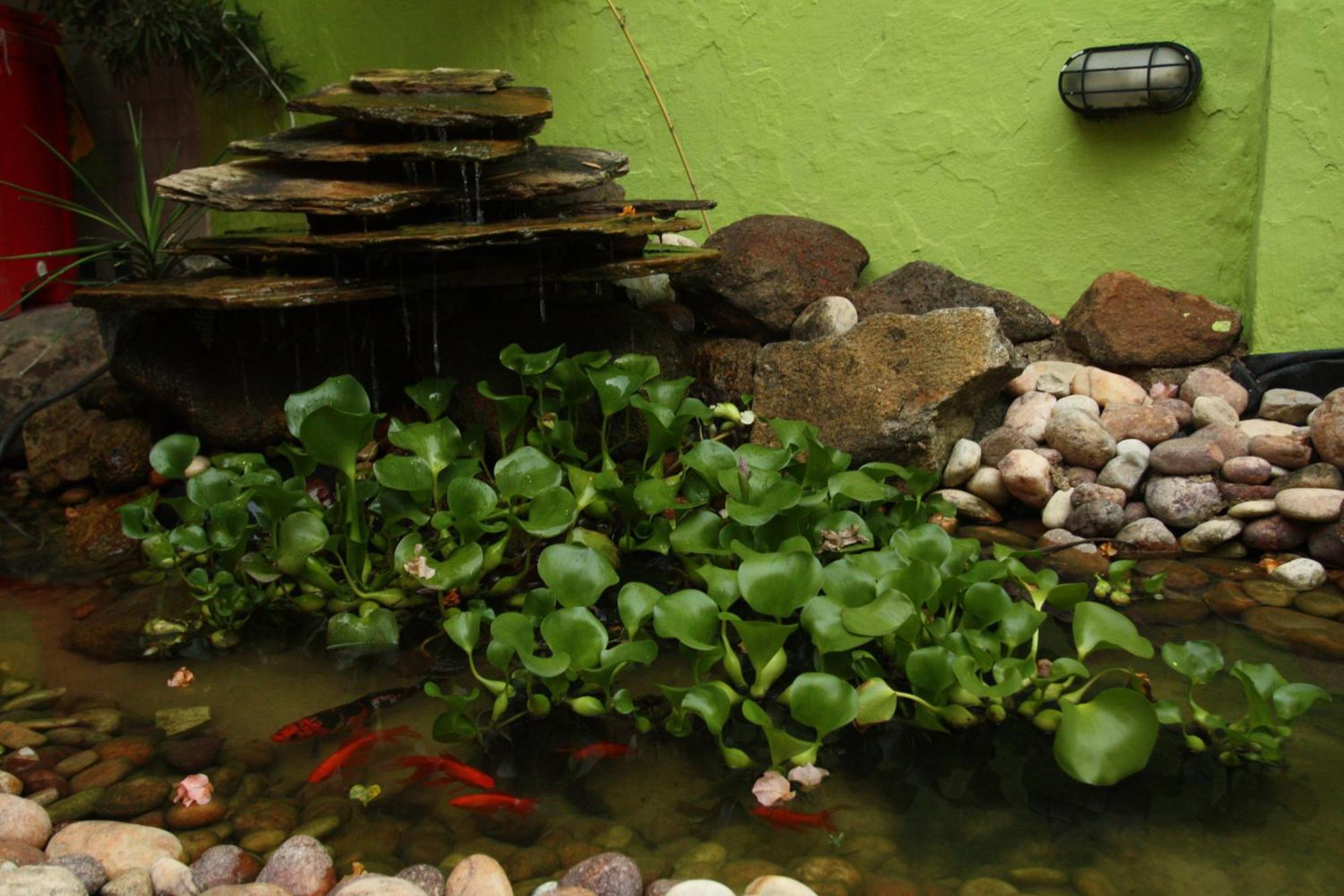 Cosmopolitan Hostel Recife Eksteriør bilde
